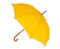 parasol